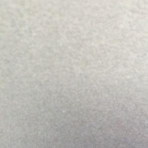 Meet your Posher, Ernie